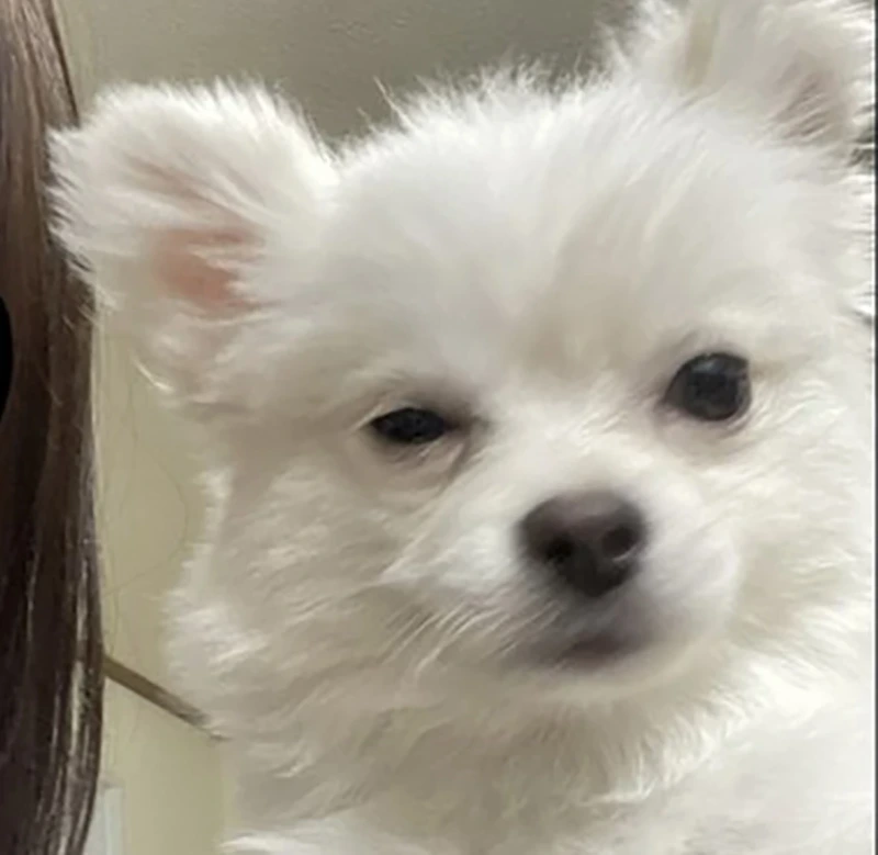 회식 끝나고 취해서 부장님한테 보낸 문자.jpg