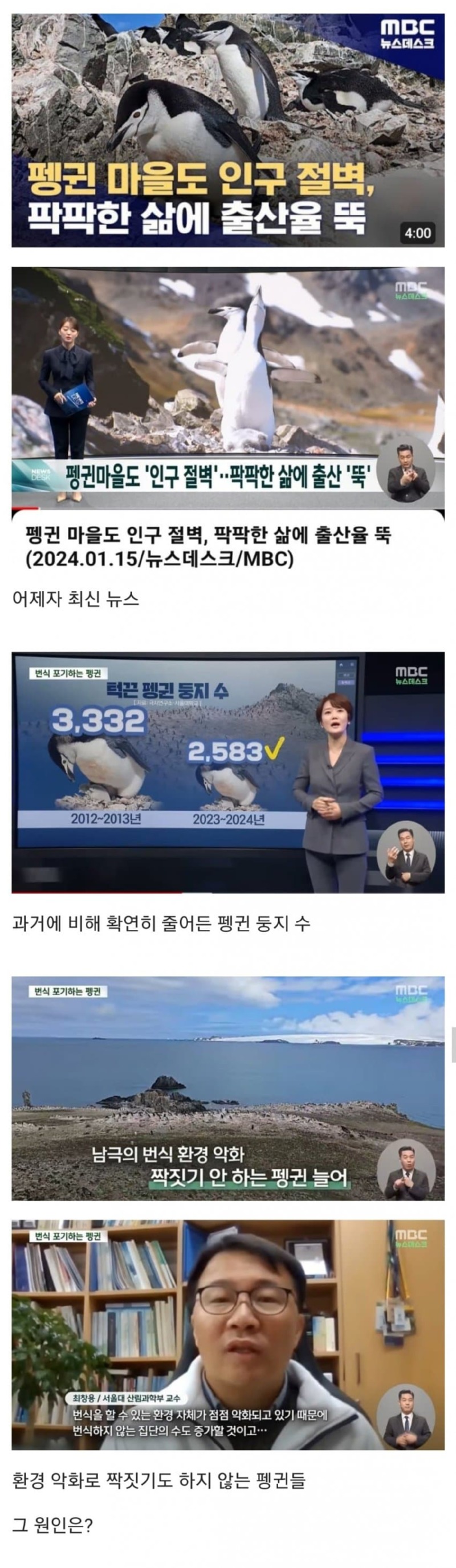 동물도 삶이 팍팍한 탓에 저출산 문제...? 