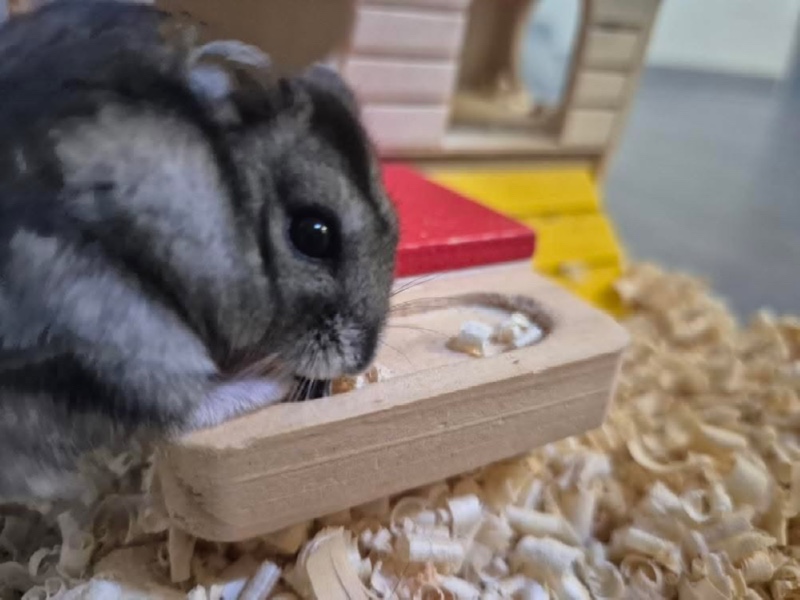 쪼끄만해 🐭🐭