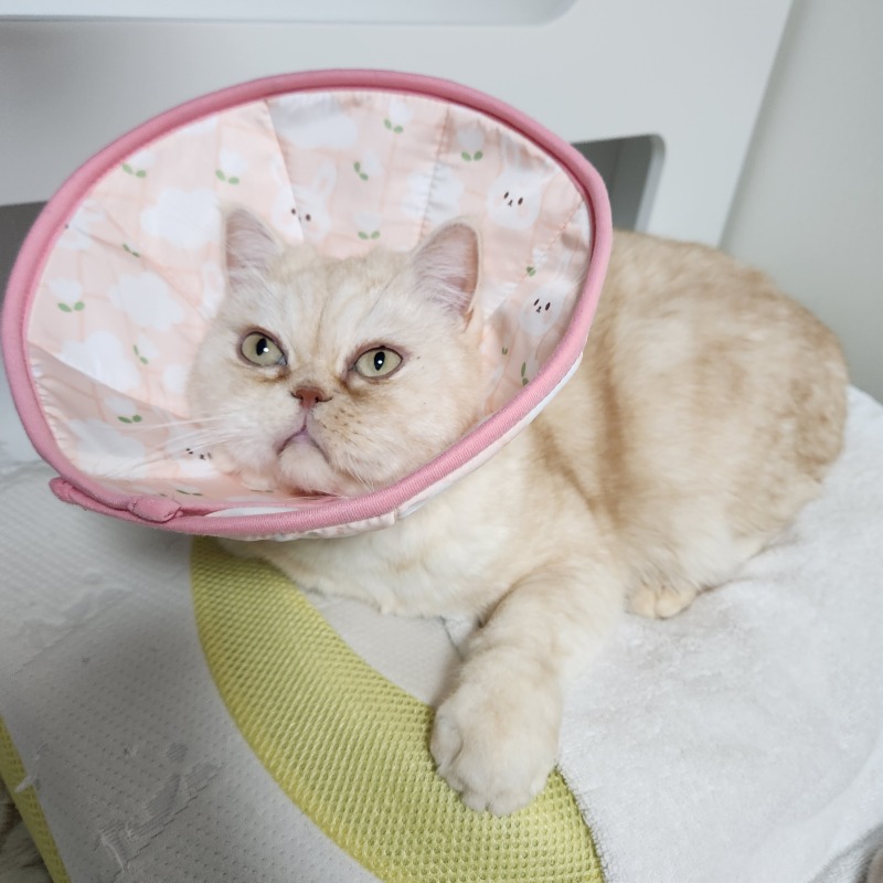 깔때기