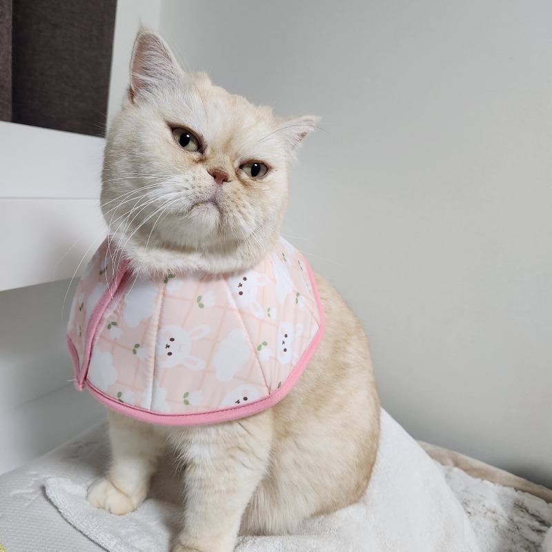 깔때기