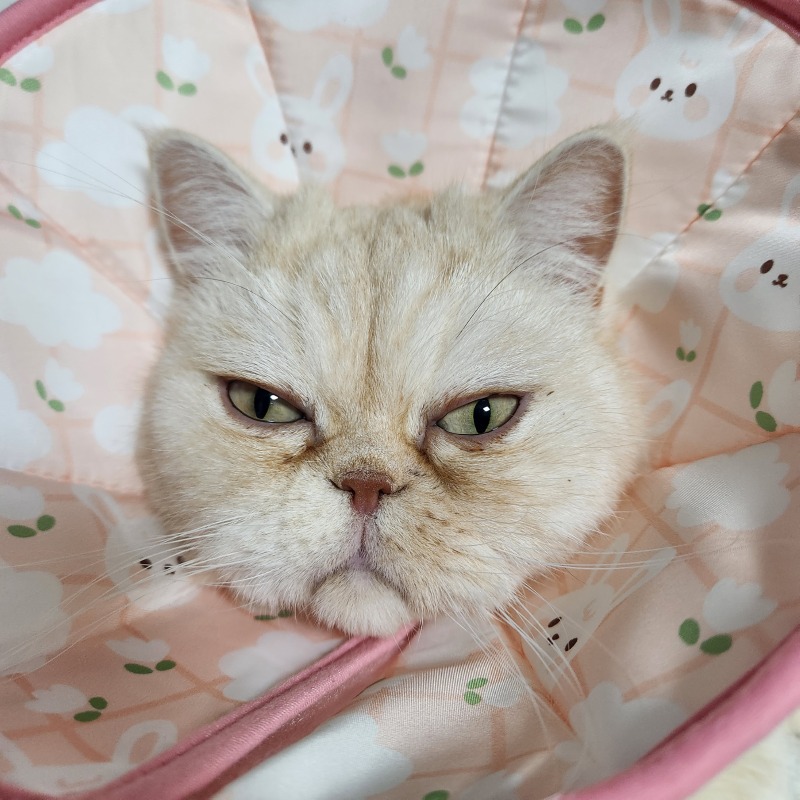 깔때기
