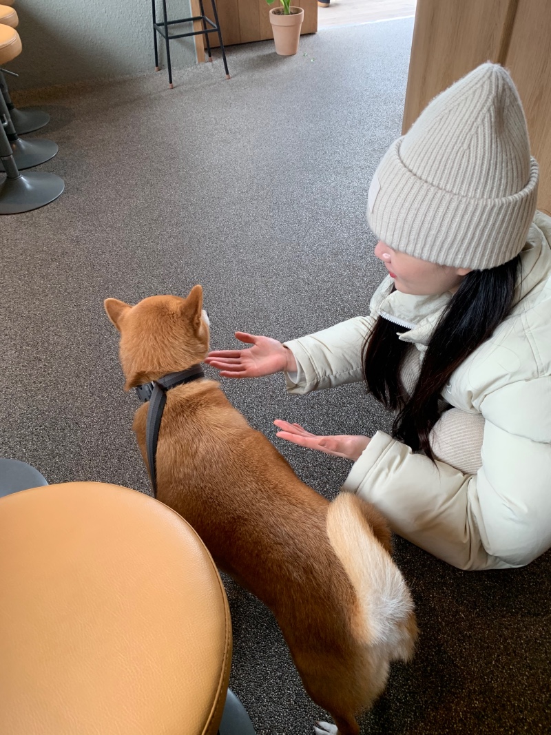 행궁동 강아지동반 카페