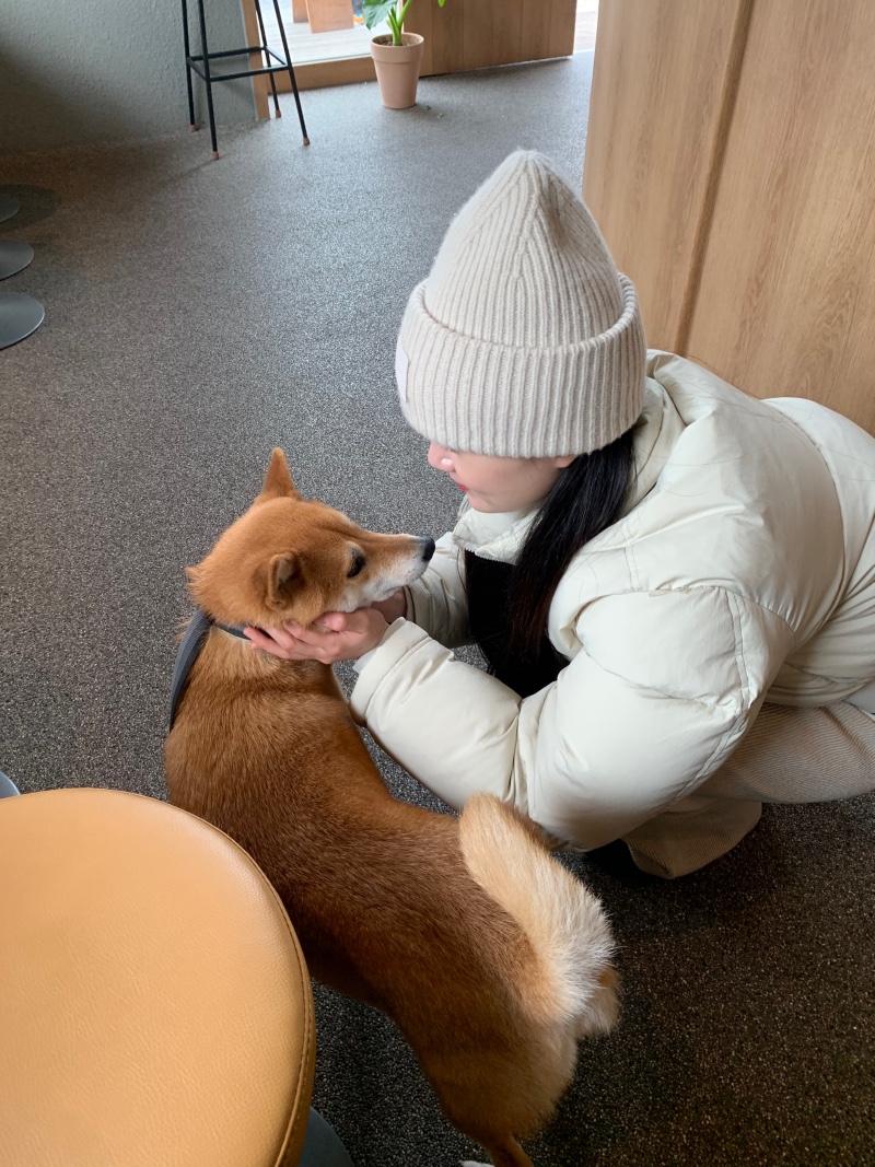 행궁동 강아지동반 카페