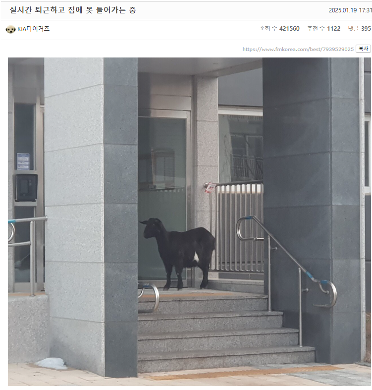 퇴근 못하고 있는 펨붕이 