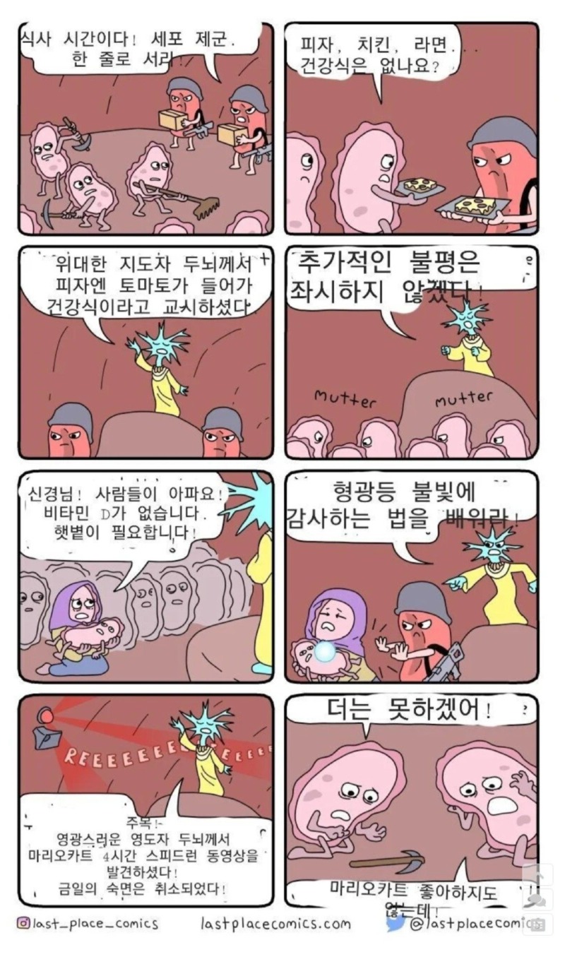 우리몸에서 일어나는 무시무시 한 일