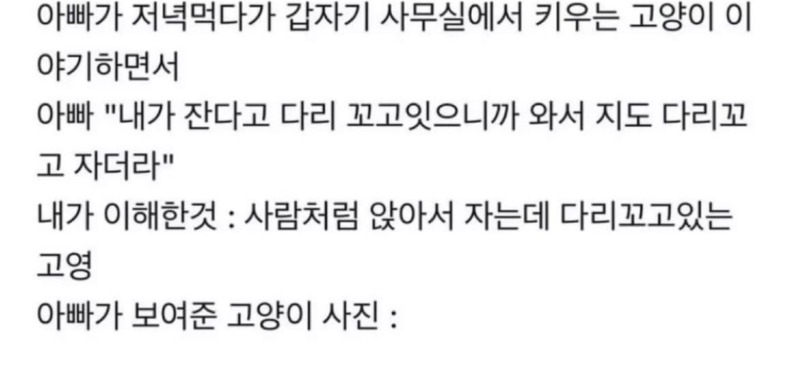 내가 다리 꼬니까 얘도 따라한다 