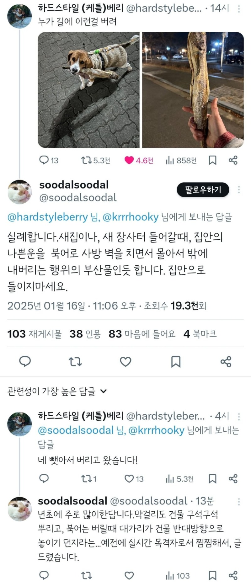 산책하다가 뭔가 주어온 댕댕 