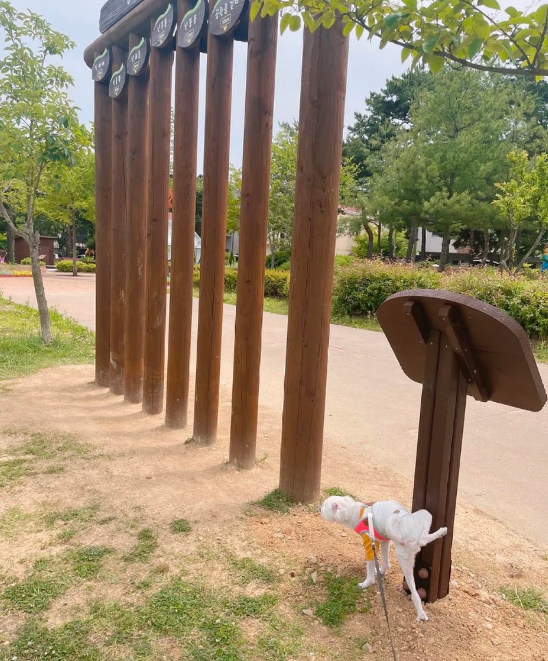 오산고인돌공원 강아지 산책후기