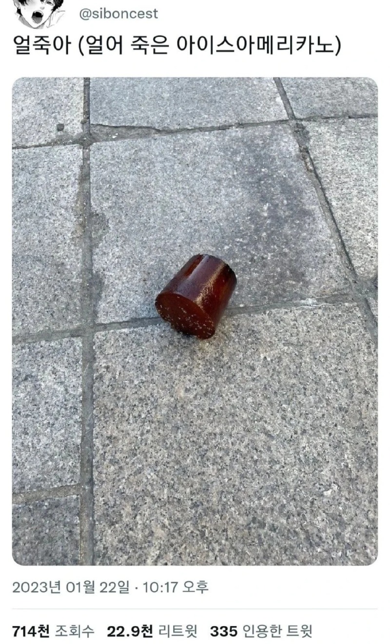 얼죽아