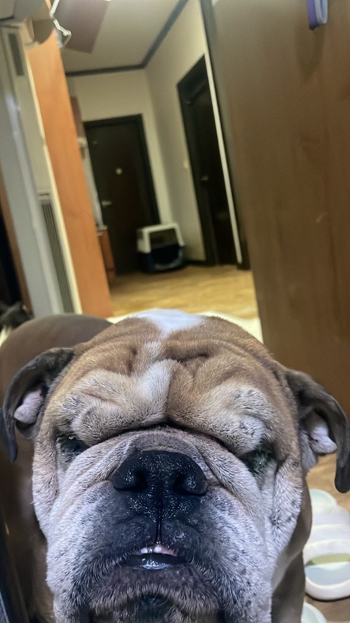 새친구 ㅎ
