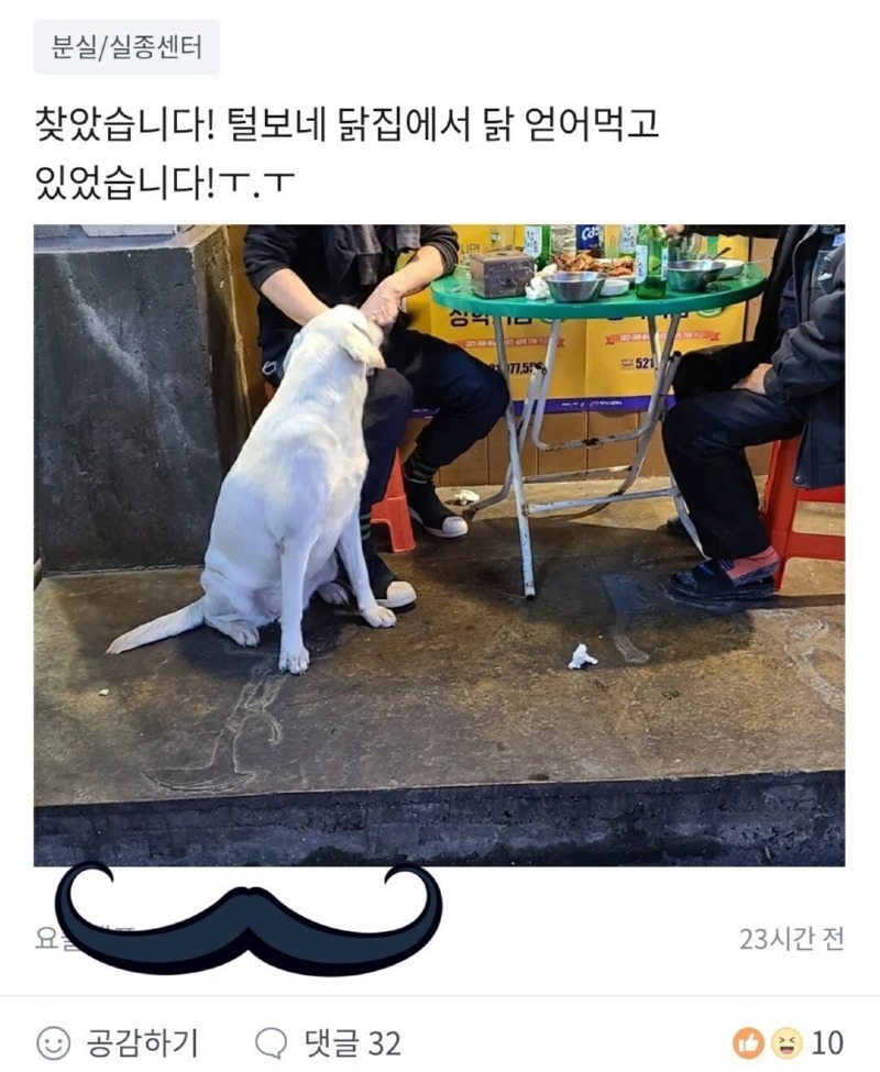 잃어버린 강아지가 향한 행선지 