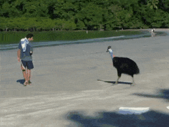 어슬렁어슬렁.gif