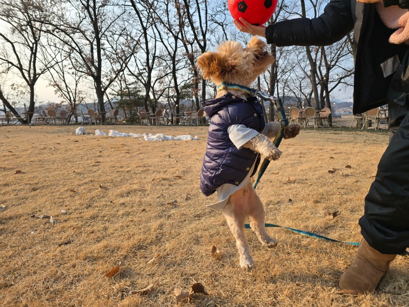 손흥민 나와!!
