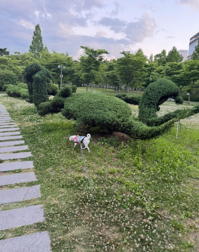 수원 인계동 효원공원 산책후기