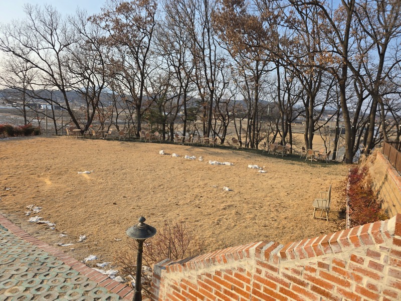 강화도 애견동반카페, 슬로우레인!