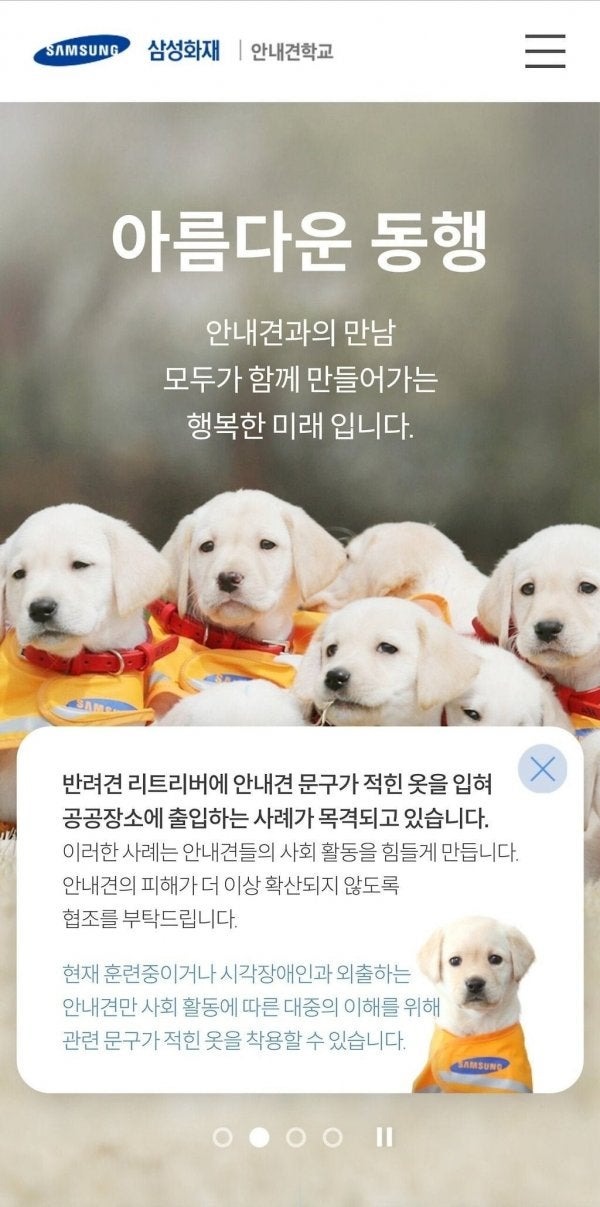 맹인 안내견 제도를 악용하는 사례 