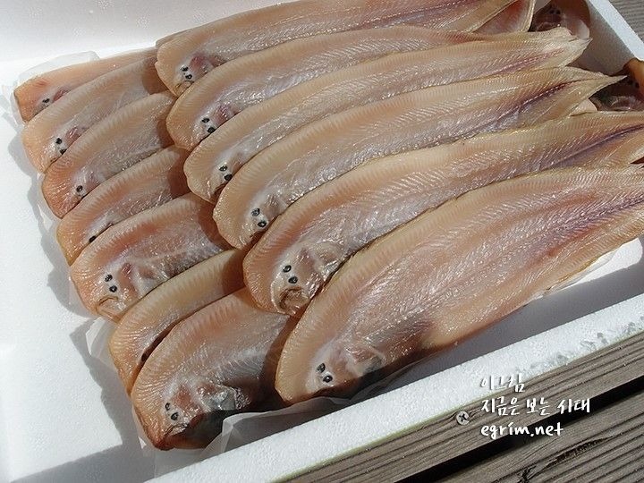뭔가 좀 성의없어 보이는 군산 마스코트 