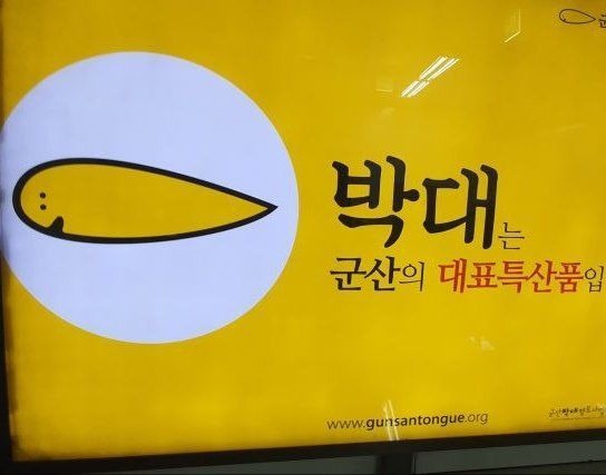 뭔가 좀 성의없어 보이는 군산 마스코트 