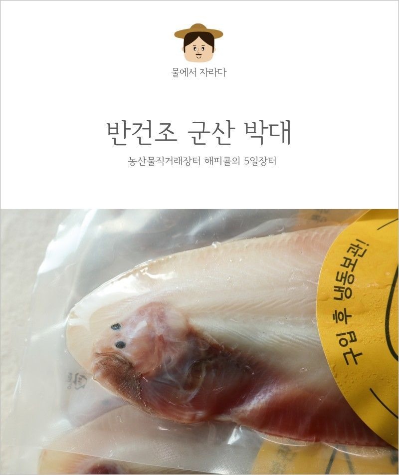 뭔가 좀 성의없어 보이는 군산 마스코트 