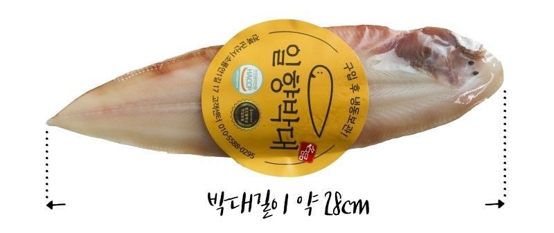 뭔가 좀 성의없어 보이는 군산 마스코트 