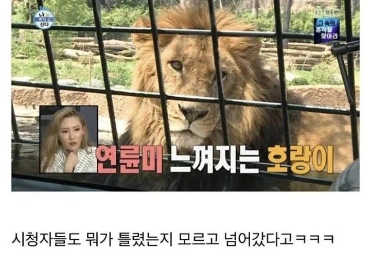 나혼자산다 방송사고