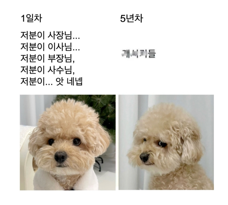 직장생활 1일차 vs 5일차