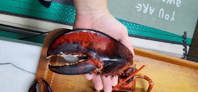 수산시장 아저씨랑 친하게 지내면 생기는 일 