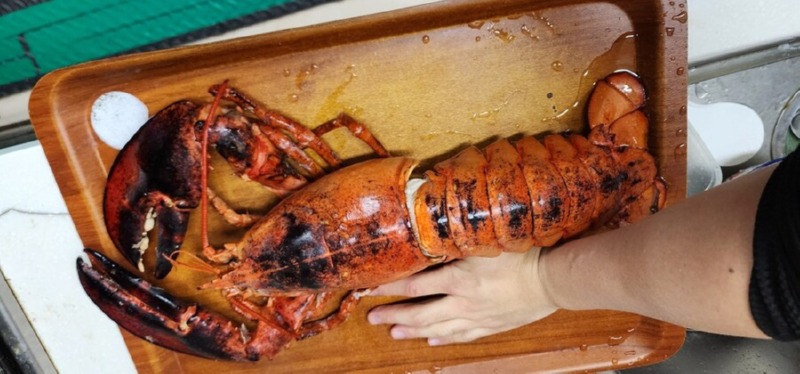 수산시장 아저씨랑 친하게 지내면 생기는 일 