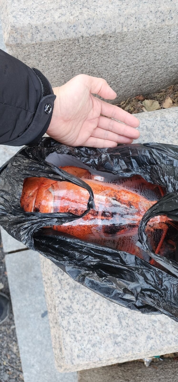 수산시장 아저씨랑 친하게 지내면 생기는 일 
