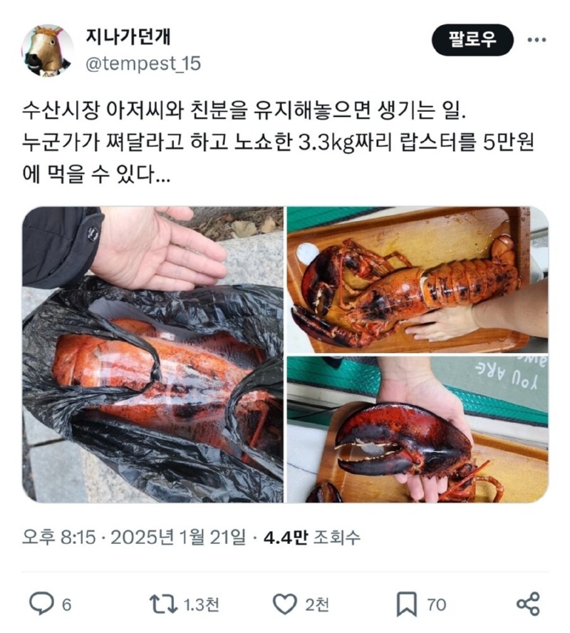 수산시장 아저씨랑 친하게 지내면 생기는 일 