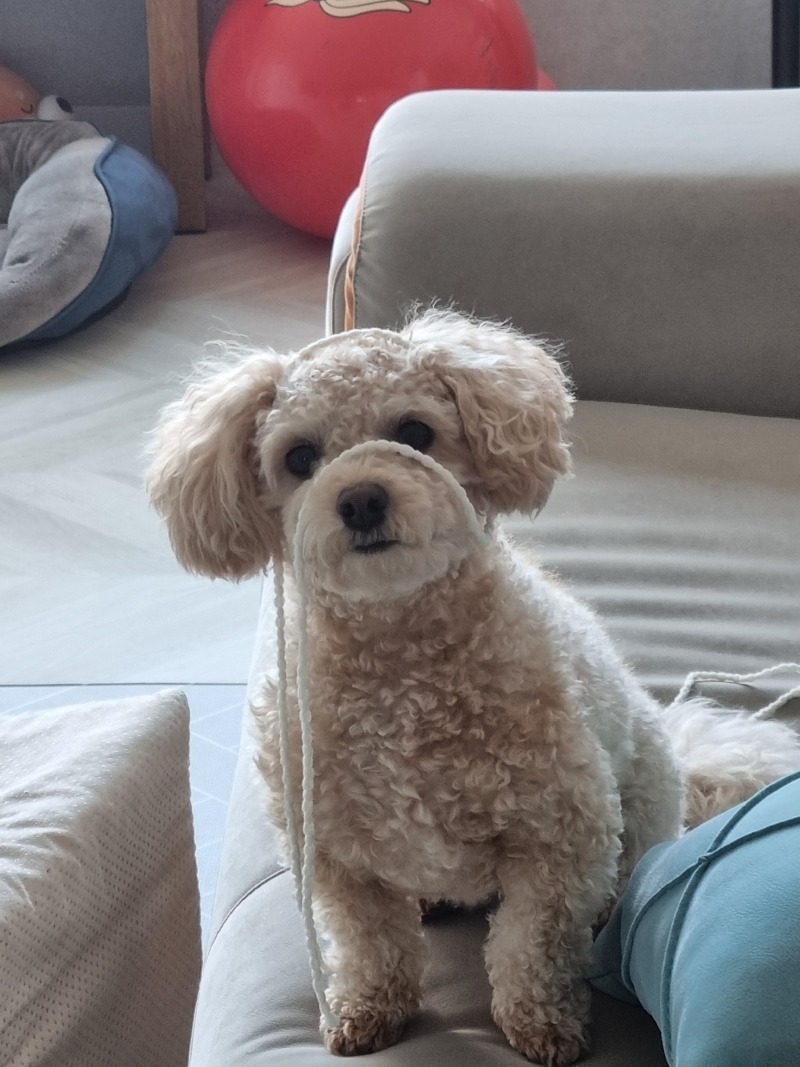오늘따라 귀여운 모카