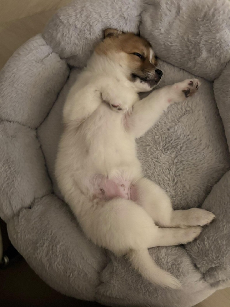 복희의 하루
