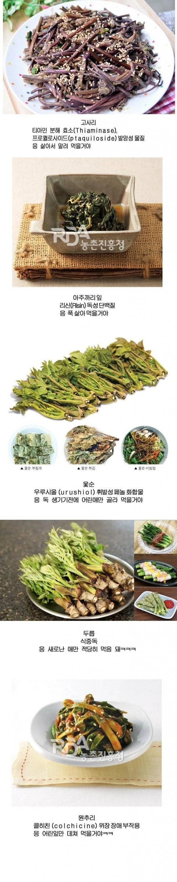 독초를 맛있게 먹는 한국인들