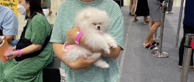 펫페어 다녀왔어요~