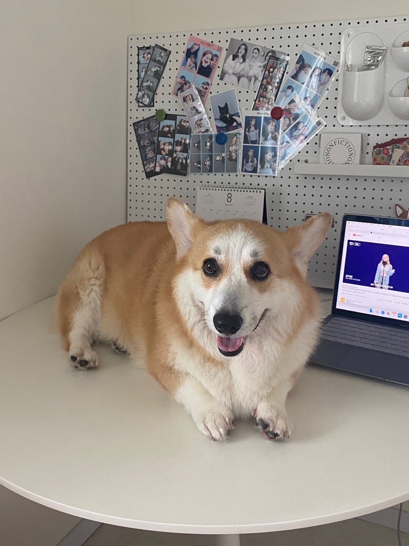 엄근진 젠또