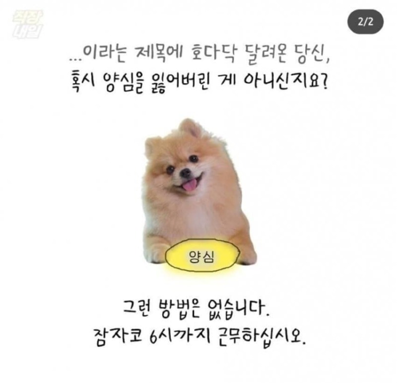 설 연휴 시작 전 12시에 퇴근하는 방법