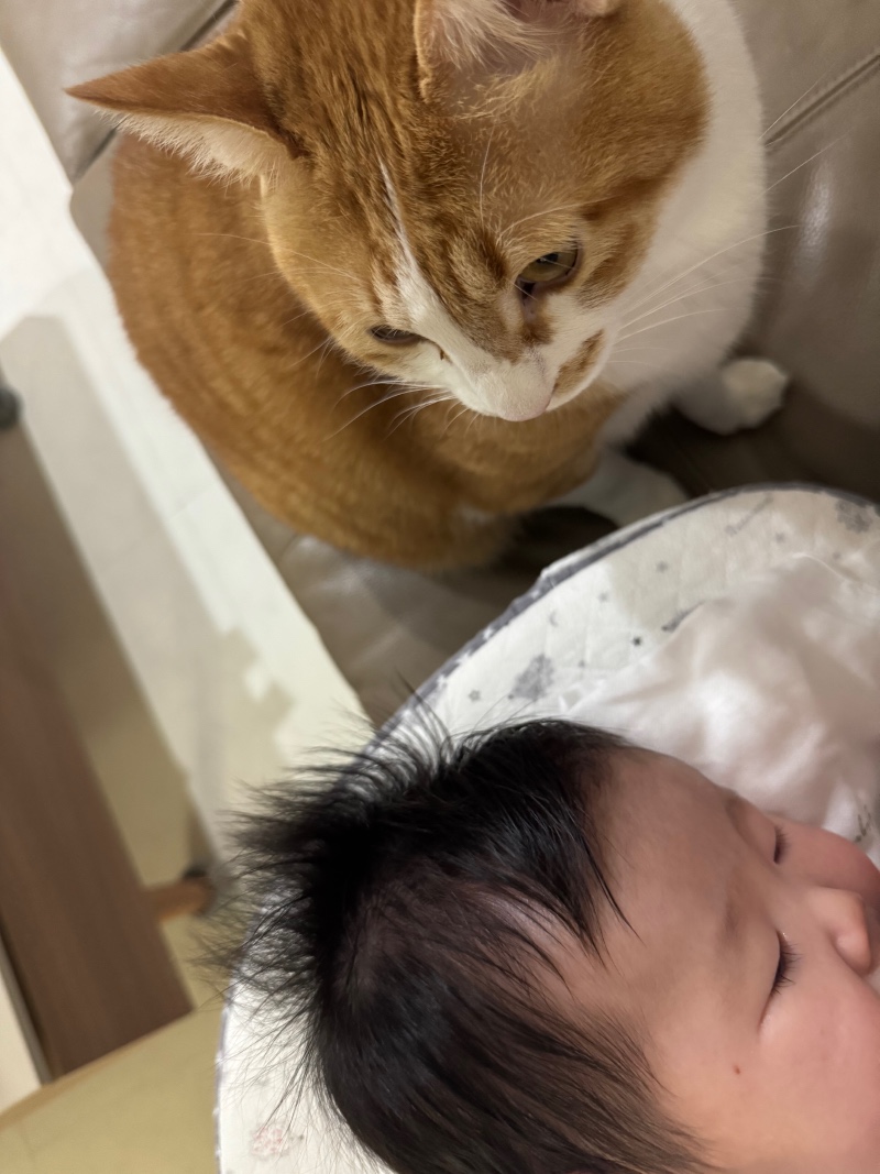 오늘은