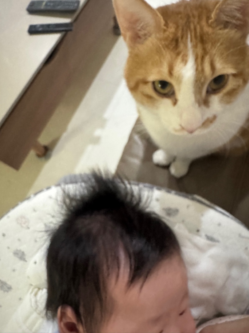 오늘은