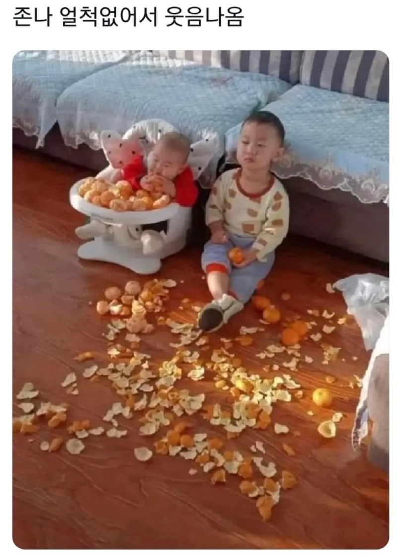 동생한테 귤 까주다가 현타 온 형