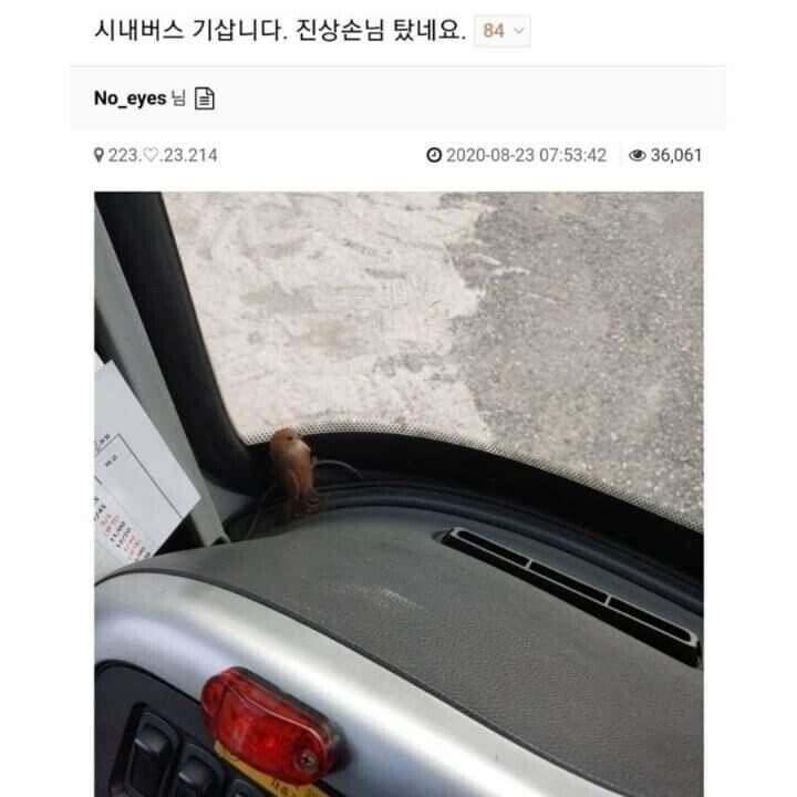 시내버스 진상 손님