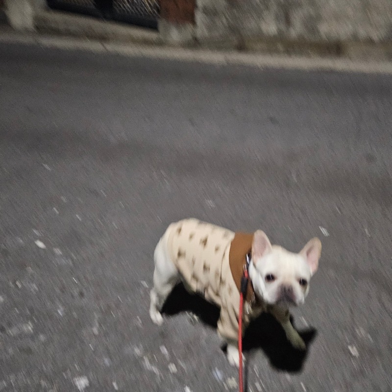 찐빵
