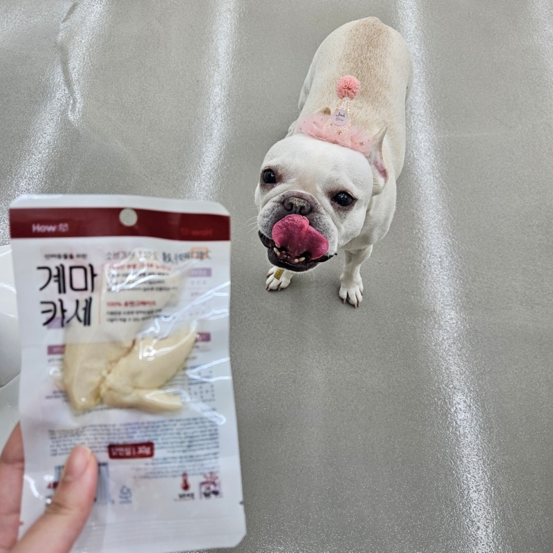 계마카세 (2).jpg