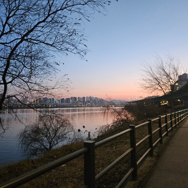 잠원한강공원 강아지산책 