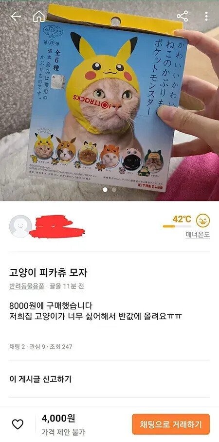 피카츄 모자 후기...