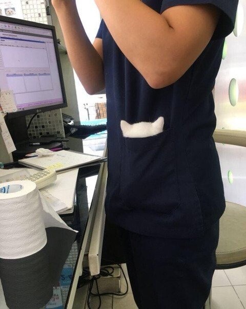 동물병원에서 본 심각한 상황