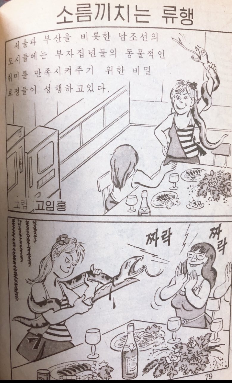 북한에서 이야기하는 한국 부잣집 여자들의 동물적인 취미