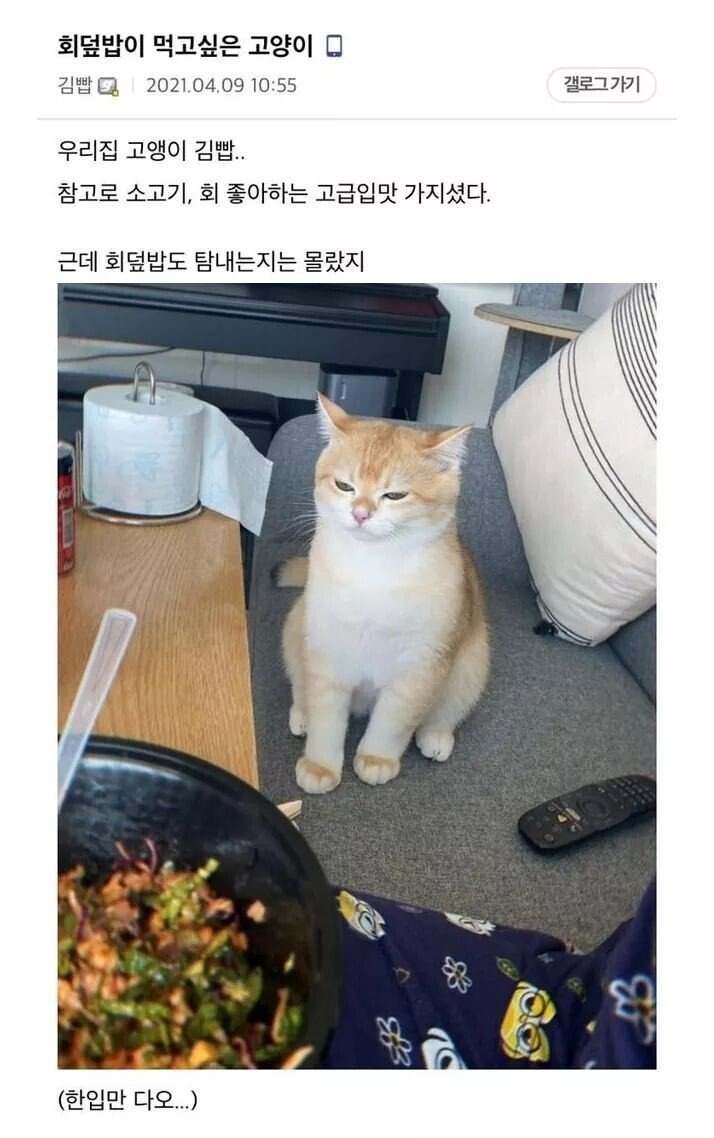 나도 한입만 줘라냥