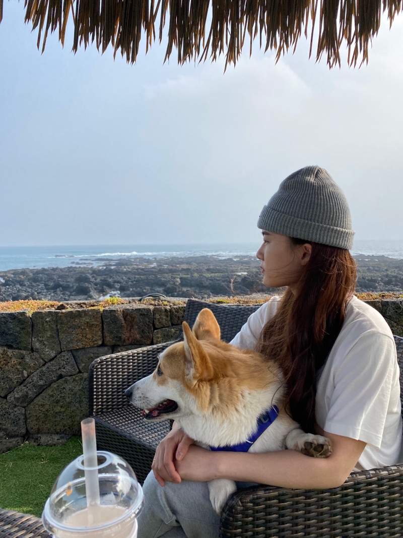 서귀포시 휴일로카페