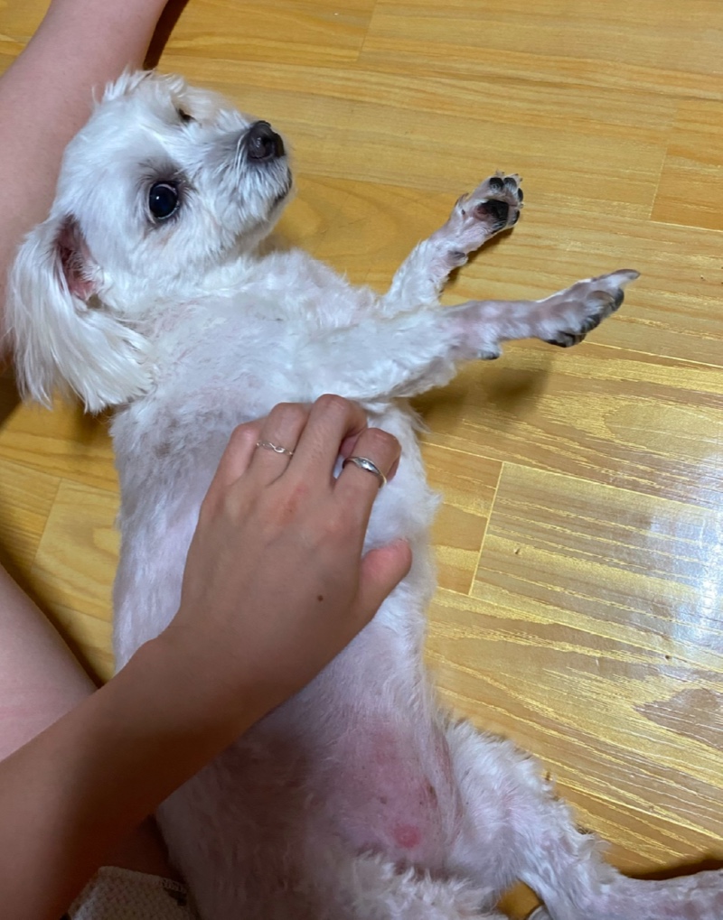 할매 사랑이